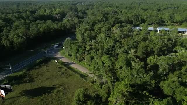 605 Floyd Gray Rd, Crawfordville, FL en venta - Vídeo de anuncio comercial - Imagen 1 de 7