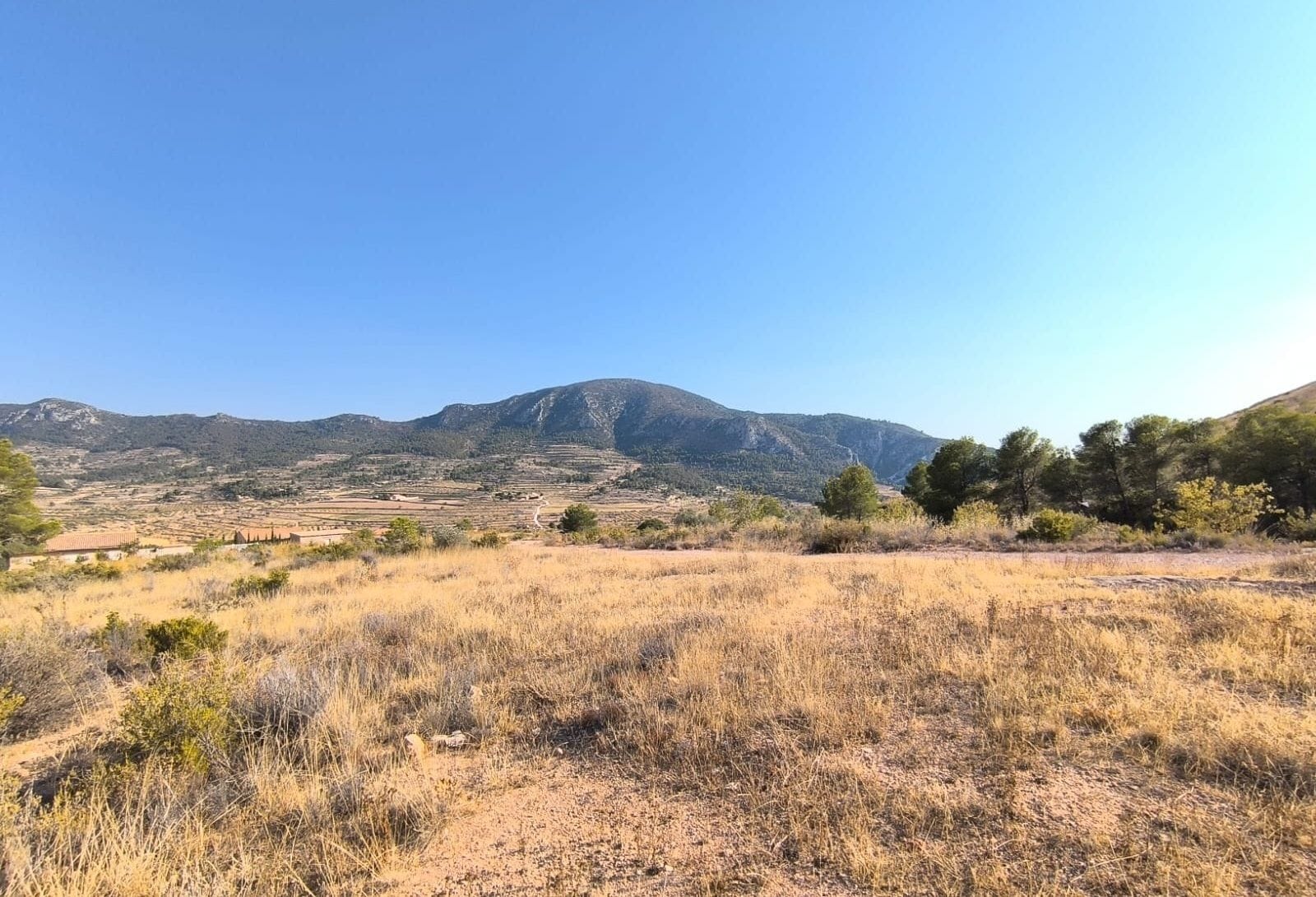 Terreno en Algueña, Alicante en venta Foto principal- Imagen 1 de 5