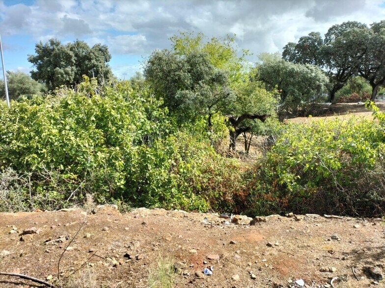 Terreno en Córdoba, Córdoba en venta - Foto del edificio - Imagen 2 de 16