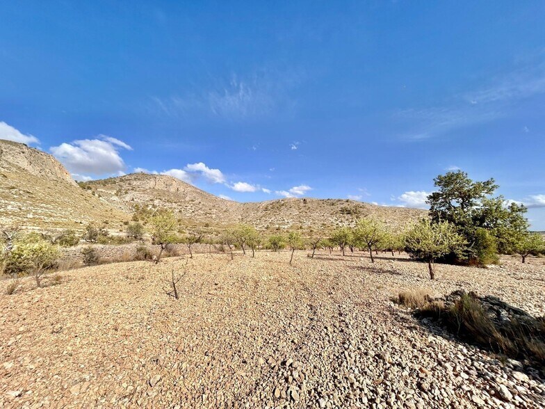 Terreno en Orihuela, Alicante en venta - Vista aérea - Imagen 3 de 4