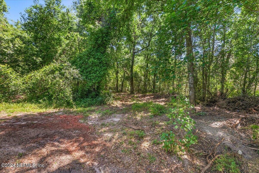 Fireside Dr, Middleburg, FL en venta - Foto del edificio - Imagen 1 de 7