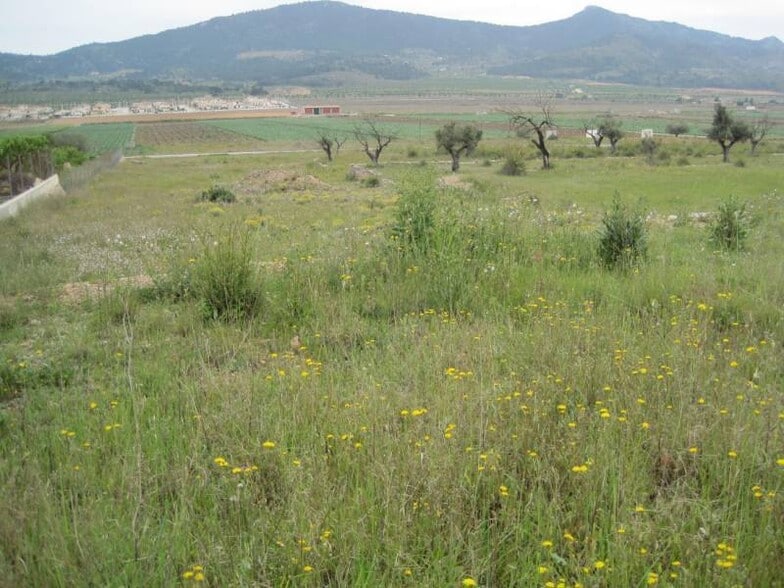 Terreno en HONDÓN DE LAS NIEVES, Alicante en venta - Plano del sitio - Imagen 1 de 2