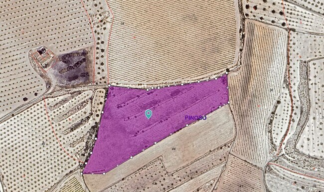 Más detalles de Sin Calle, PINOSO - Terreno en venta