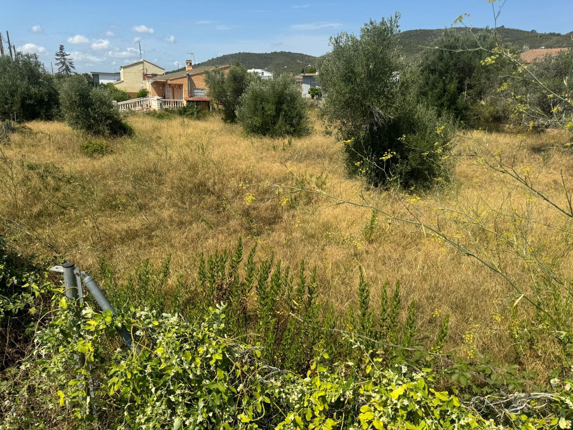 Terreno en Masllorenç, Tarragona en venta Foto principal- Imagen 1 de 1