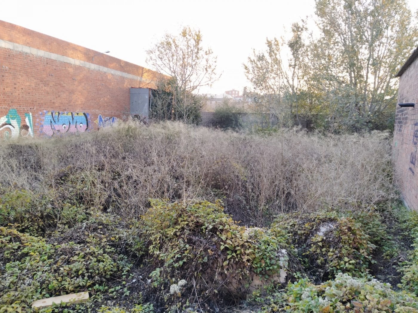 Terreno en Igualada, Barcelona en alquiler Otros- Imagen 1 de 4