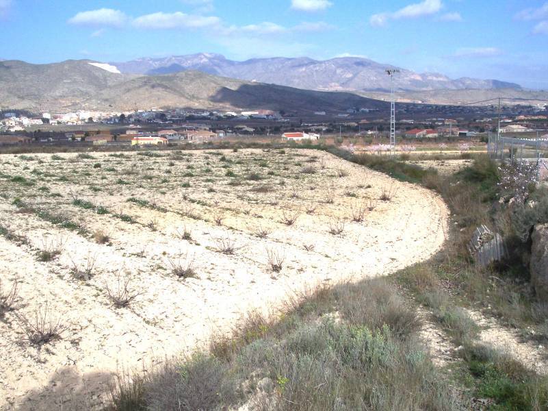 Terreno en Hondón de los Frailes, Alicante en venta Plano del sitio- Imagen 1 de 4