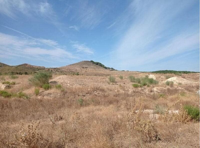 Terreno en Alhaurín de la Torre, Málaga en venta Plano del sitio- Imagen 1 de 13