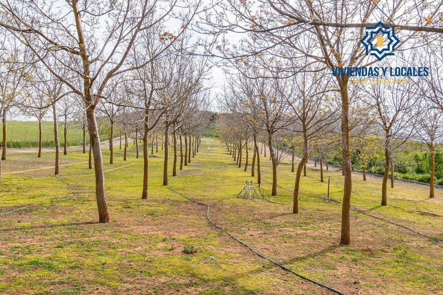 Terreno en Padul, Granada en venta - Foto del edificio - Imagen 2 de 50