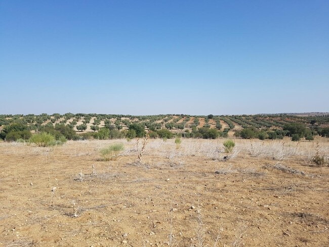 Más detalles de Terreno en venta