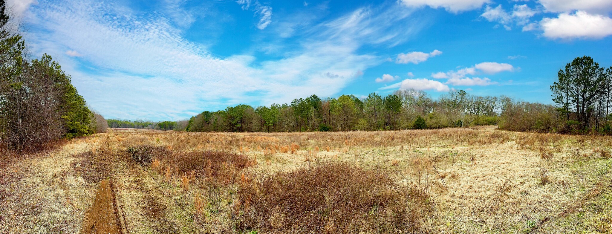 000 Beaverdam Rd, Williamston, SC en venta Foto del edificio- Imagen 1 de 2