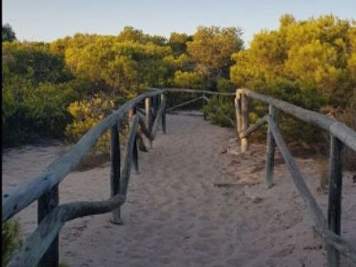 Terreno en Elche, Alicante en venta - Foto del edificio - Imagen 2 de 6