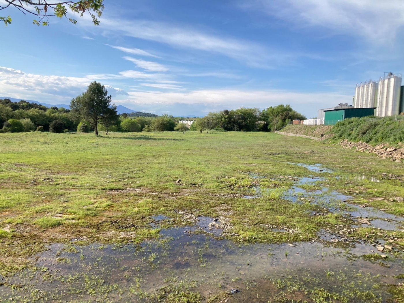 Terreno en Maçanet de la Selva, Gerona en venta Foto principal- Imagen 1 de 10