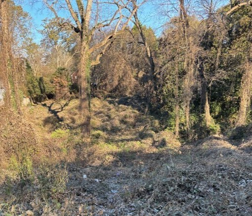 1871 Lakewood Ave SE, Atlanta, GA en venta Foto del edificio- Imagen 1 de 8