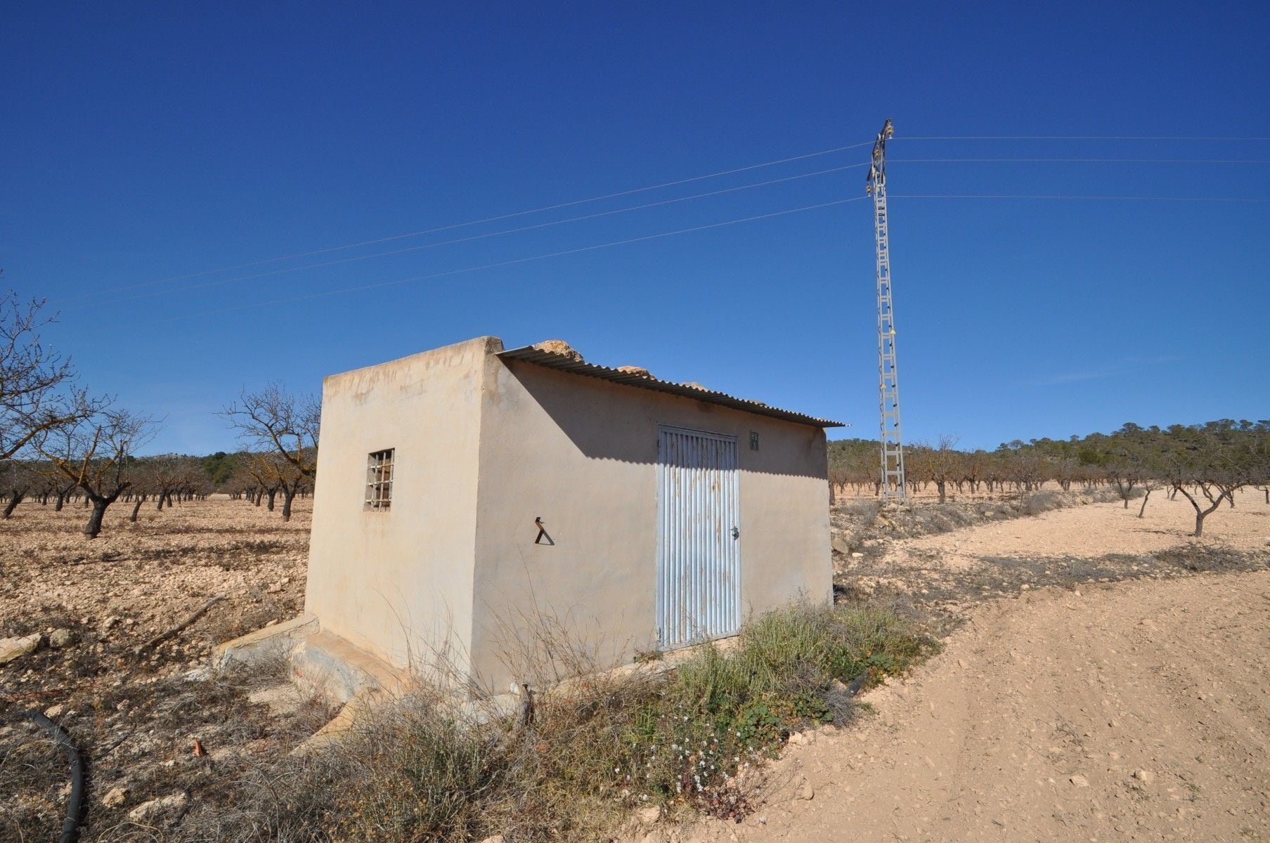 Terreno en MONÒVER, Alicante en venta Foto principal- Imagen 1 de 10