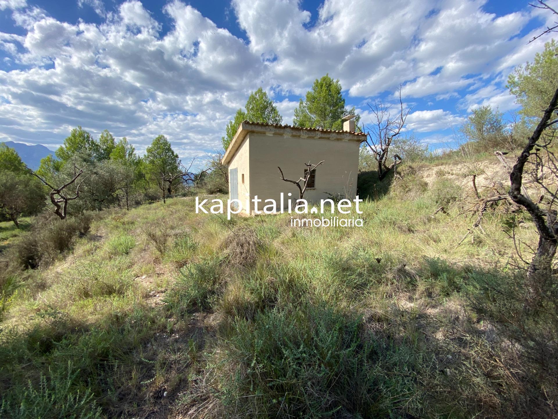 Terreno en Millena en venta Foto del edificio- Imagen 1 de 13