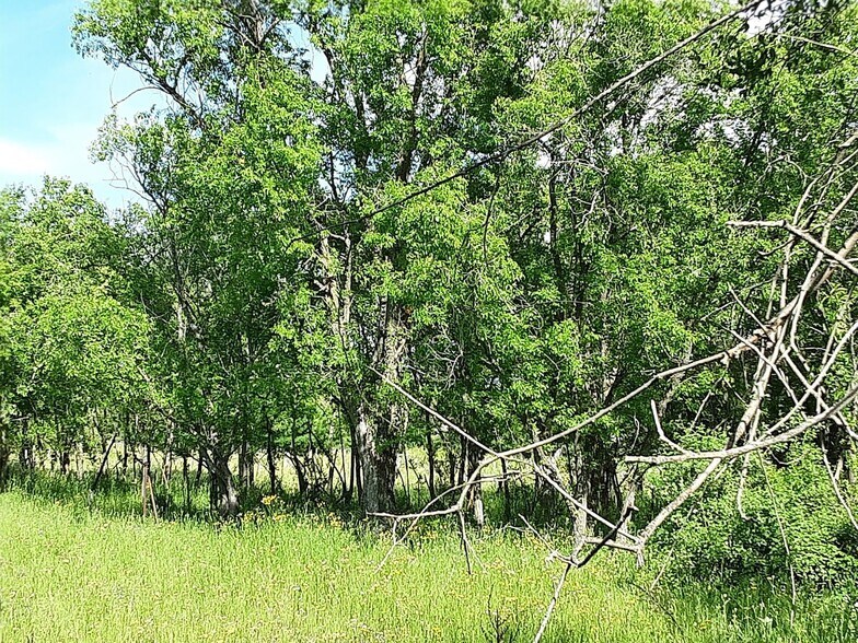 Terreno en El Escorial, Madrid en venta - Foto del edificio - Imagen 2 de 13