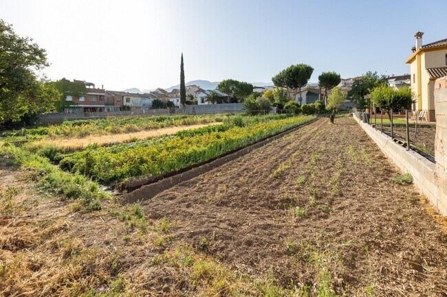 Más detalles de Calle Vicente Aleixandre, 5, La Zubia - Terreno en venta