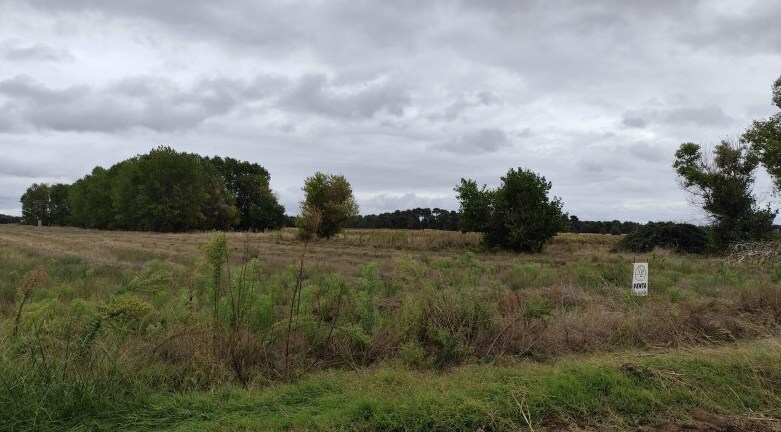 Terreno en Fuenterrebollo, Segovia en venta - Otros - Imagen 2 de 3