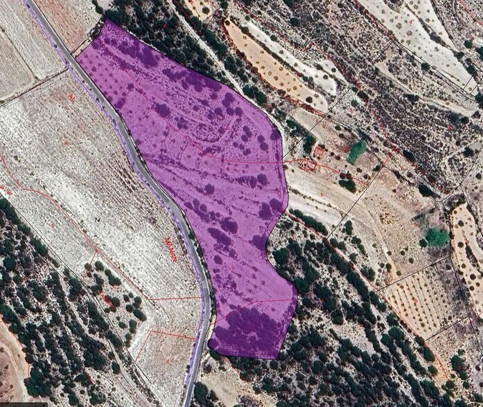 Terreno en MONÒVER, Alicante en venta - Foto principal - Imagen 1 de 12