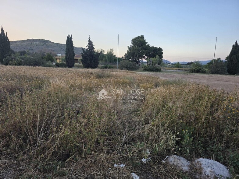 Terreno en Aspe, Alicante en venta - Foto del edificio - Imagen 2 de 6
