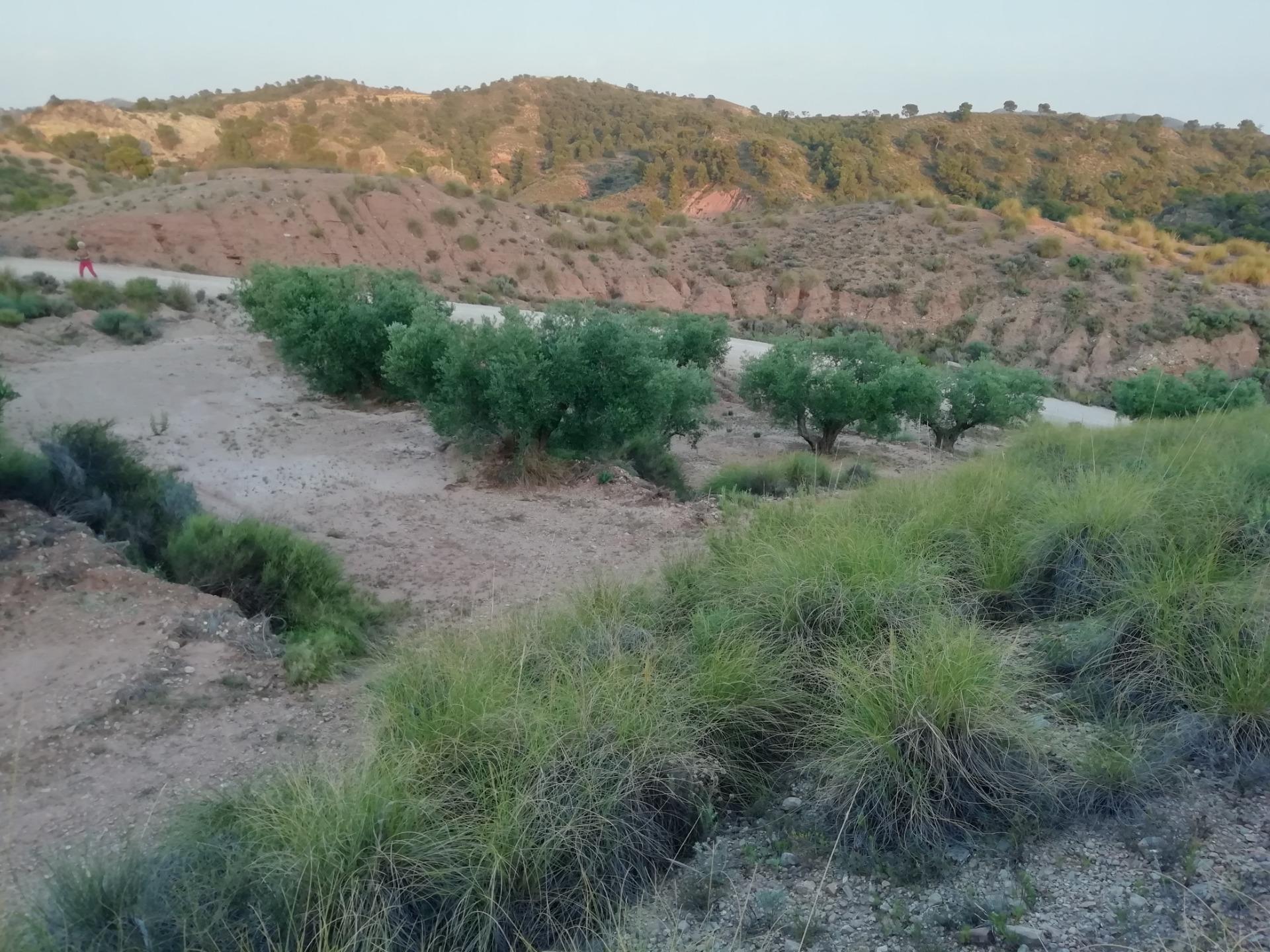 Terreno en Abanilla, Murcia en venta Vista aérea- Imagen 1 de 6