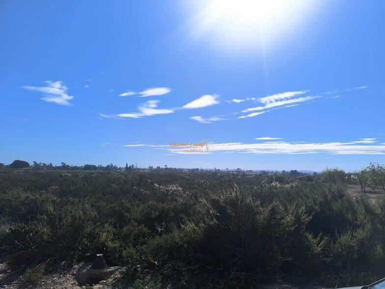 Terreno en Elche, Alicante en venta - Foto principal - Imagen 2 de 4