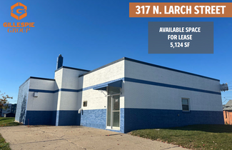 Más detalles para 317 N Larch St, Lansing, MI - Nave en alquiler