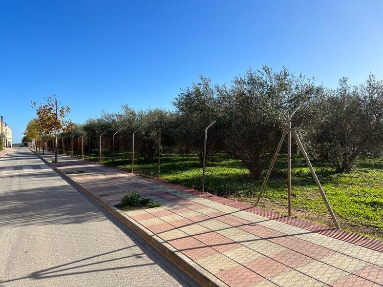 Terreno en Pilas en venta - Foto del edificio - Imagen 2 de 16