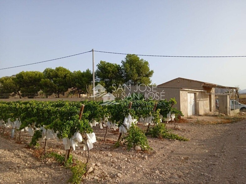 Terreno en Novelda en venta - Foto del edificio - Imagen 3 de 8