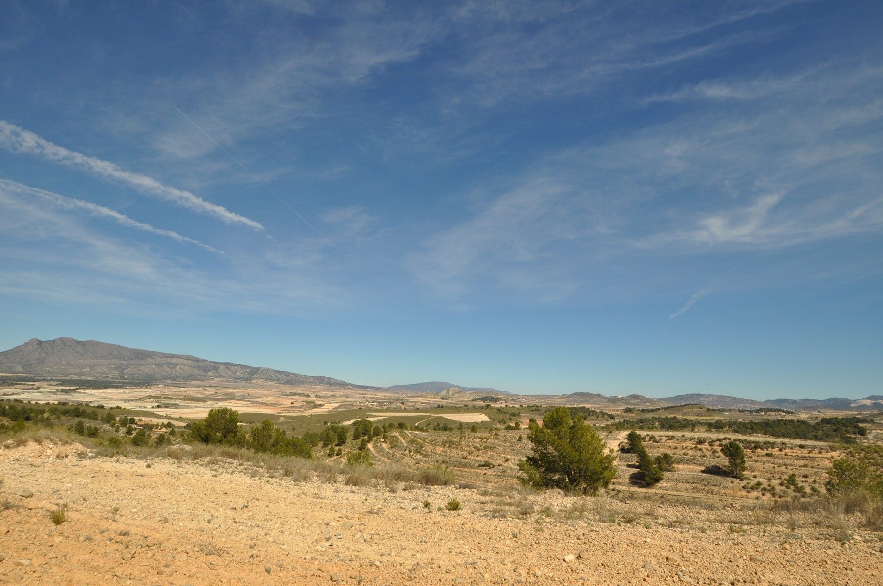 Terreno en Jumilla en venta Foto del edificio- Imagen 1 de 24