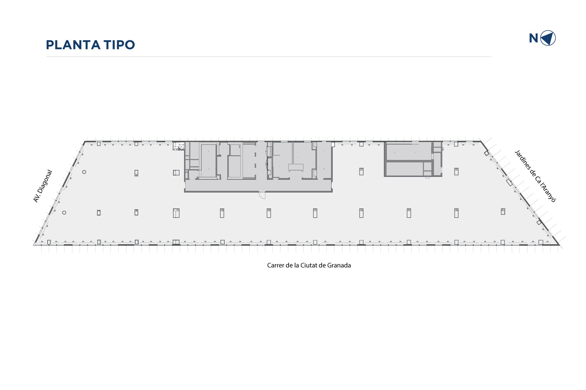 Avinguda Diagonal, 199, Barcelona, Barcelona en alquiler Plano de planta tipo- Imagen 1 de 2
