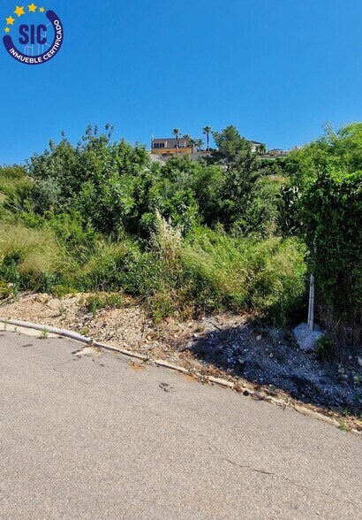 Terreno en Turís, Valencia en venta - Foto principal - Imagen 3 de 24