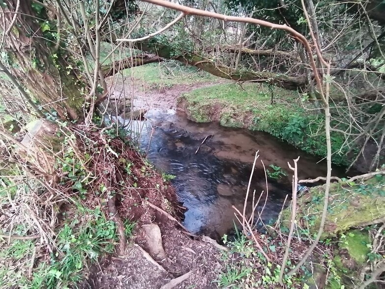 O Pazo, Rianxo, La Coruna en venta - Foto del edificio - Imagen 3 de 5