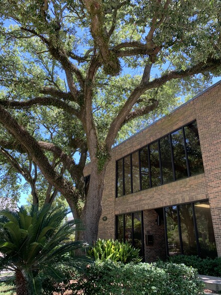 100 Rue Iberville, Lafayette, LA en alquiler - Foto del edificio - Imagen 3 de 5