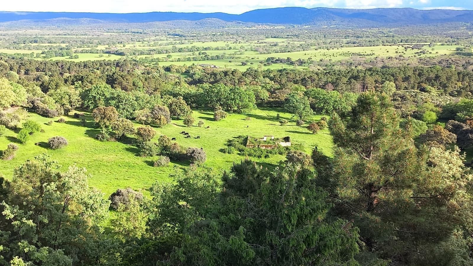 Terreno en Mombeltrán, Ávila en venta Foto del edificio- Imagen 1 de 18