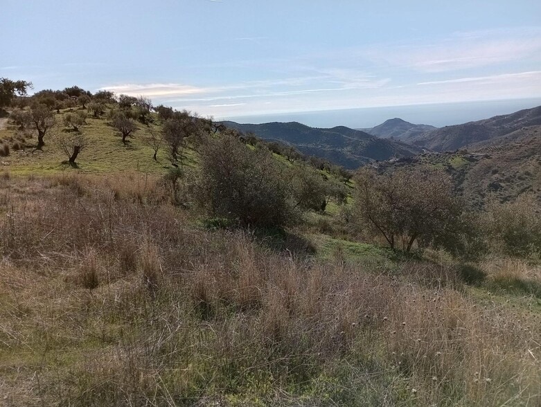Totalán, 47, Málaga, Málaga en venta - Vista aérea - Imagen 3 de 19