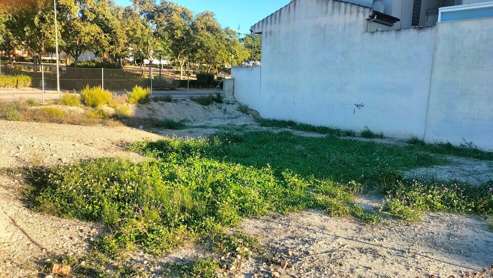 Terreno en Molina de Segura en venta - Foto del edificio - Imagen 2 de 10