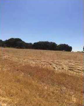 Más detalles de Terreno en venta