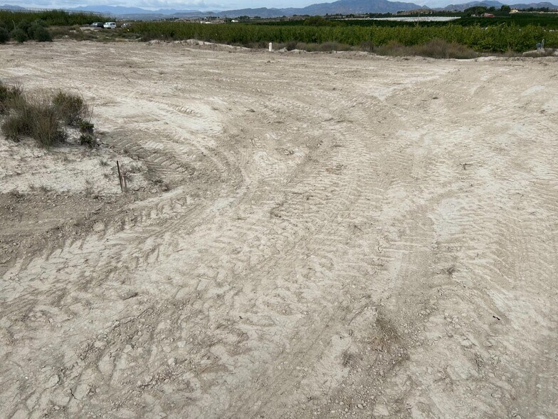 Terreno en Molina de Segura, Murcia en venta - Foto del edificio - Imagen 1 de 9
