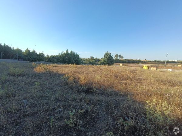 Terrenos en Valmojado, Toledo en venta - Foto del edificio - Imagen 3 de 6