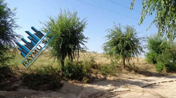 Polígono Rústica 21, 123, Casarrubios del Monte, Toledo en venta - Otros - Imagen 3 de 8