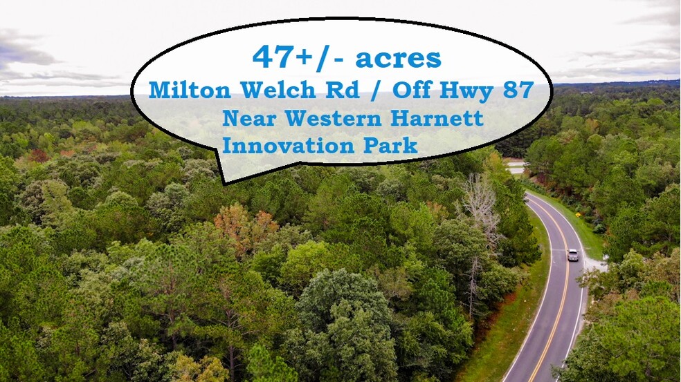 300 Milton Welch (47+ acres - address # est) Rd, Sanford, NC en venta - Foto principal - Imagen 1 de 13