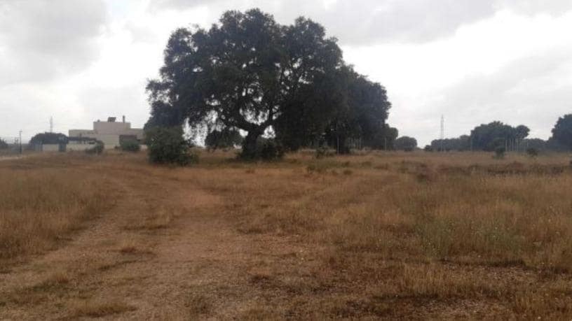 Plaza del Amor, 4, Carrascal de Barregas, Salamanca en alquiler - Plano del sitio - Imagen 1 de 1