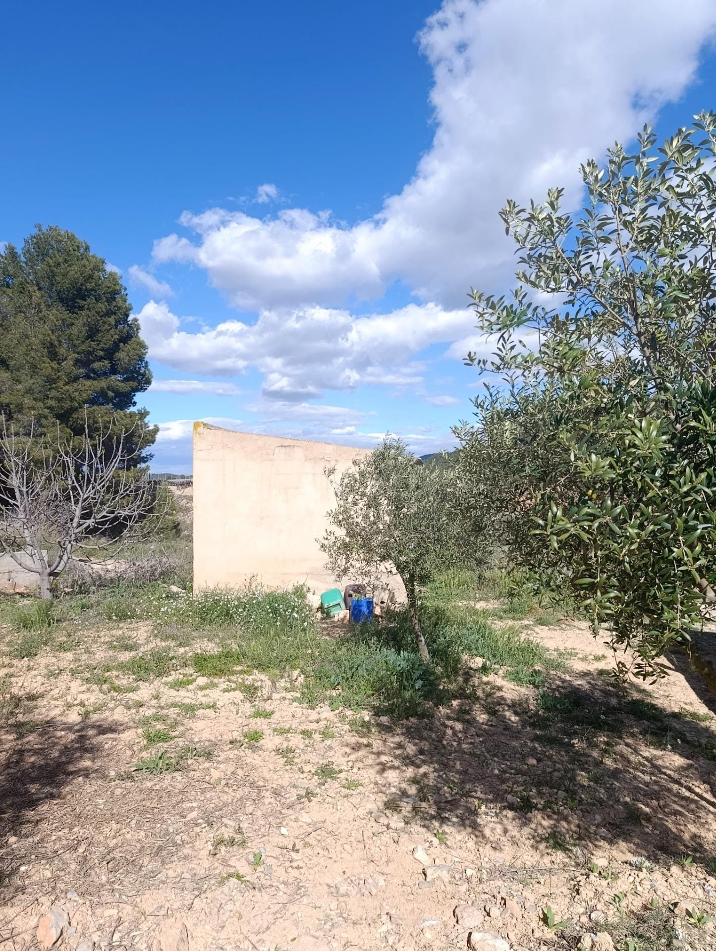 Terreno en Cehegín, Murcia en venta Foto del edificio- Imagen 1 de 14