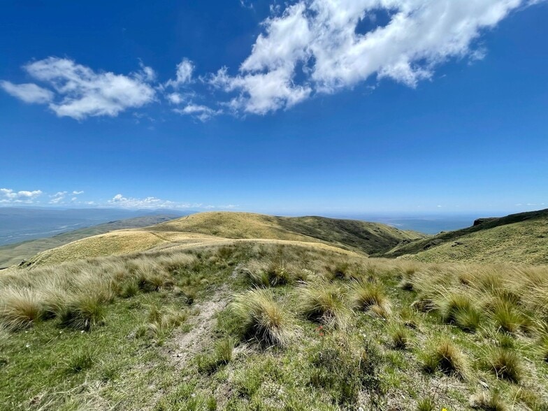 en venta - Foto principal - Imagen 1 de 24