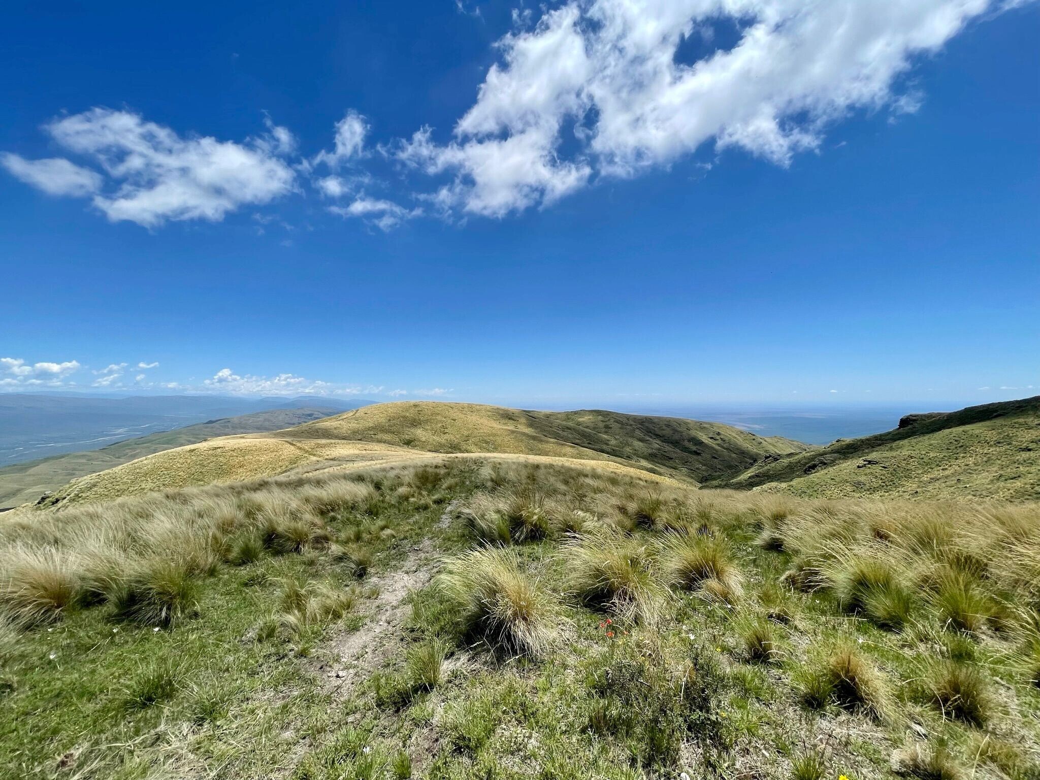 en venta Foto principal- Imagen 1 de 25