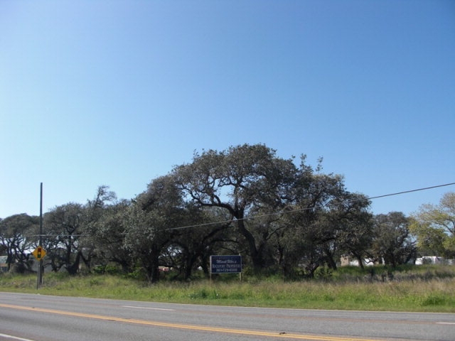 3401-15 Hwy 35 N, Fulton, TX en venta - Otros - Imagen 3 de 10