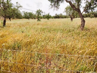 Más detalles de Terreno en venta