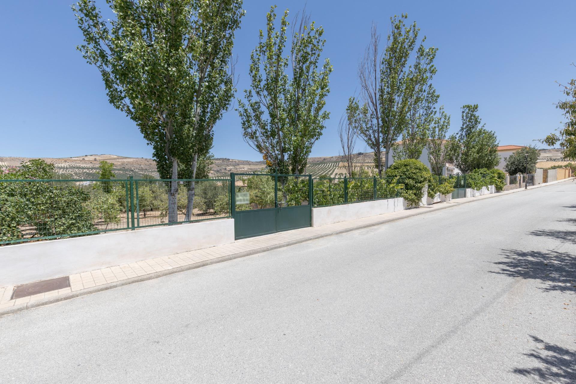 Moreta, 7, Arenas del Rey, Granada en venta Foto principal- Imagen 1 de 28