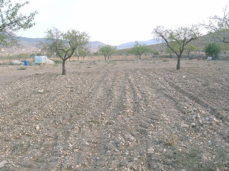 Terreno en HONDÓN DE LAS NIEVES, Alicante en venta - Plano del sitio - Imagen 2 de 2